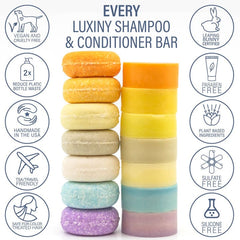 Luxiny 3 in 1 Shampoo Conditioner and Body Wash - Bay Rum - Shampoo