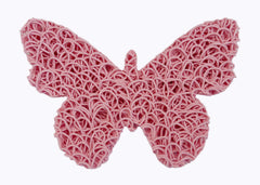 Butterfly Soap Lift