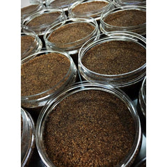 Pumpkin Spice Latte Coffee Scrub - Sugar Scrubs