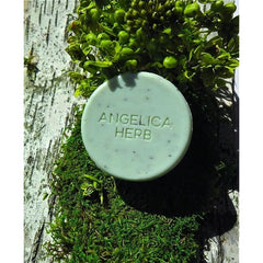 Icelandic Angelica Herb Soap - Soap