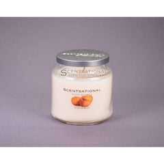 Copy of Juniper Candle - Candle